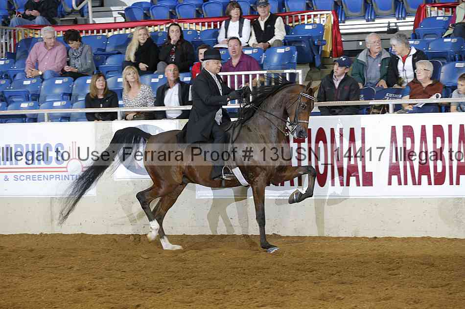 Proof 13usn_14417