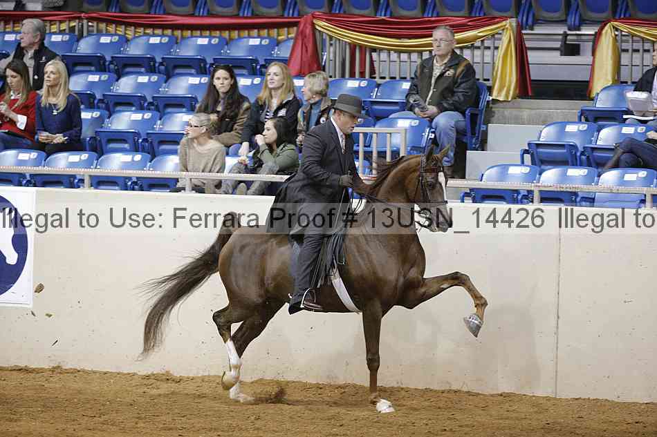 Proof 13usn_14426