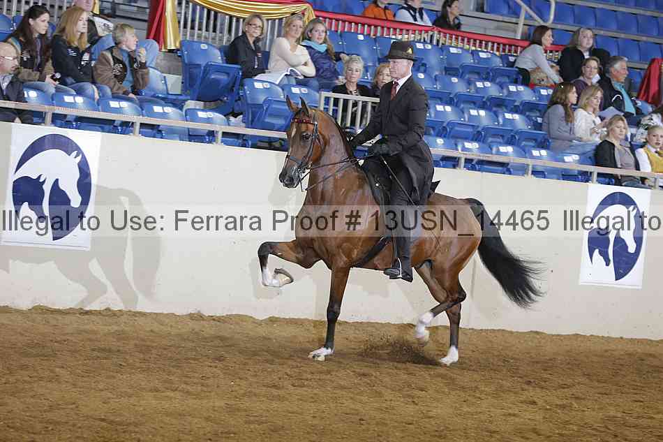 Proof 13usn_14465