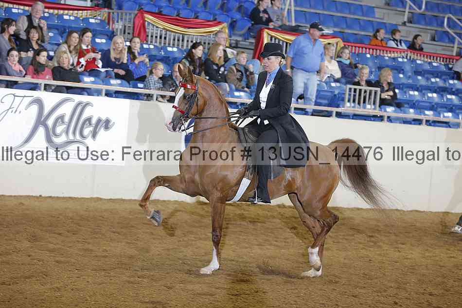 Proof 13usn_14476