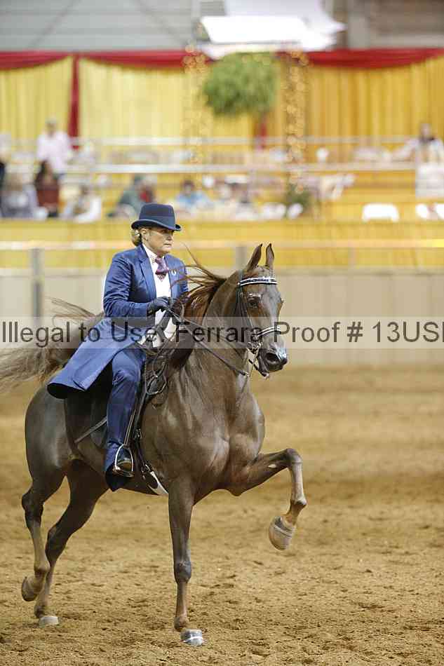 Proof 13usn_14480
