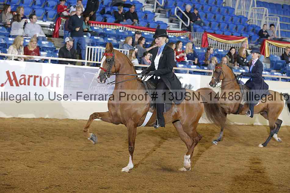 Proof 13usn_14486