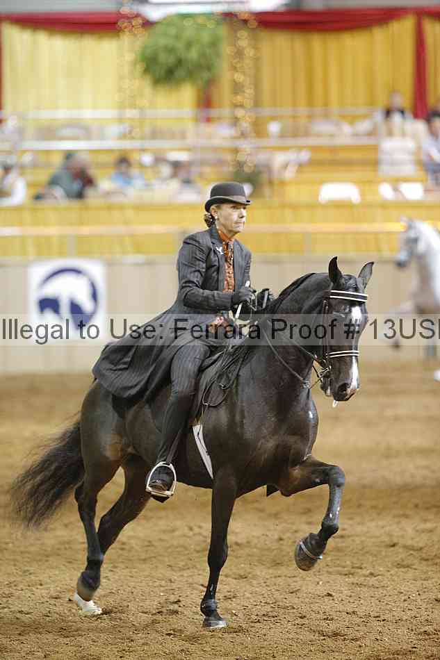Proof 13usn_14488