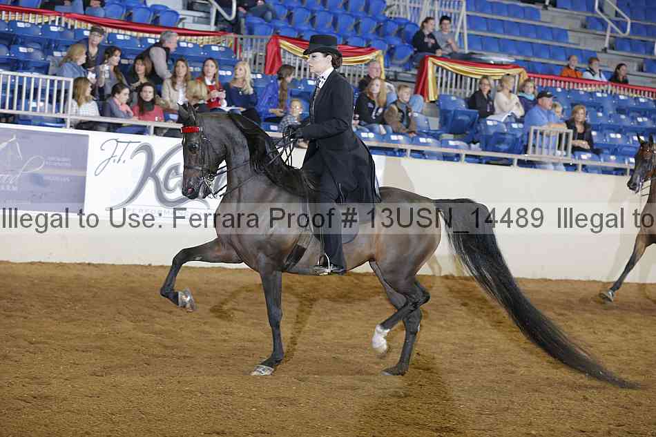 Proof 13usn_14489