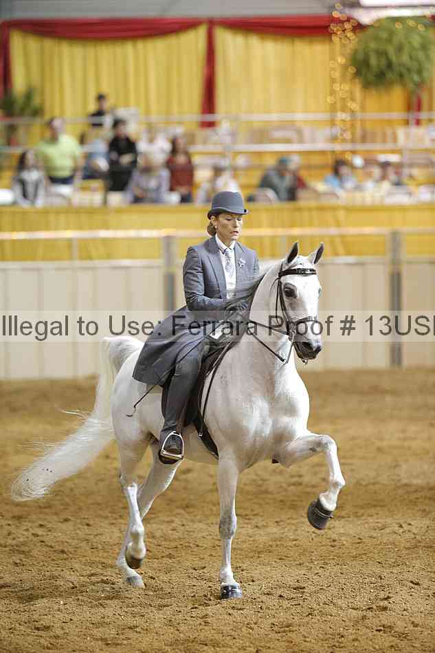 Proof 13usn_14490