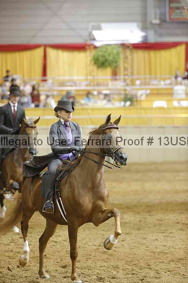 Proof 13usn_14492
