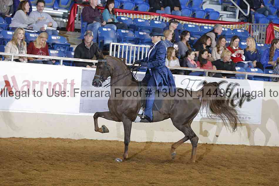 Proof 13usn_14495