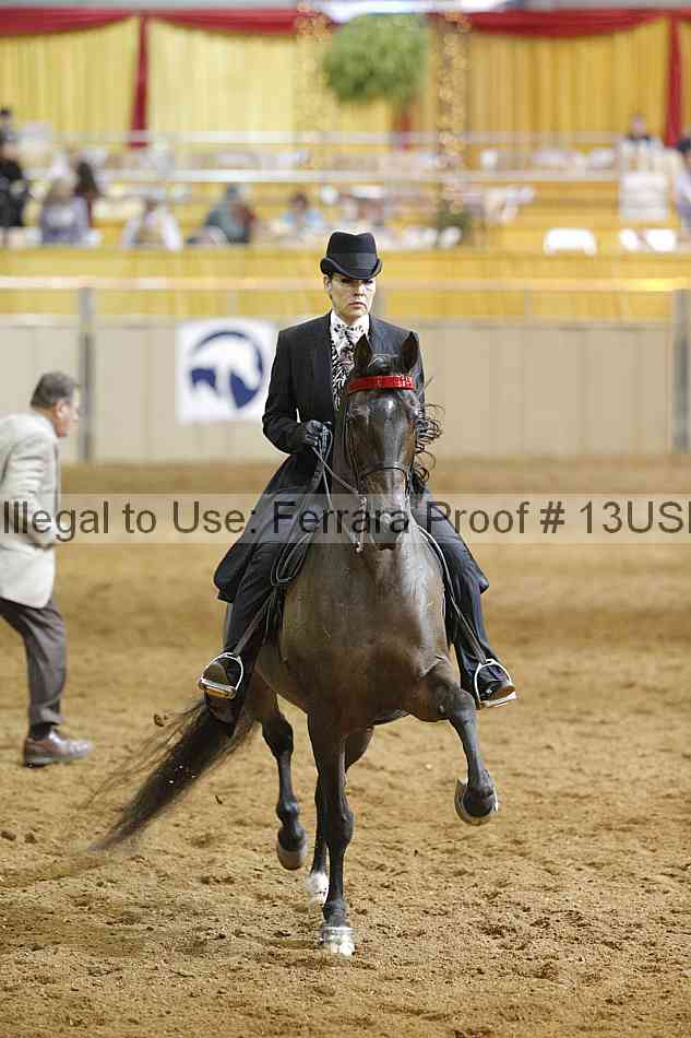 Proof 13usn_14498