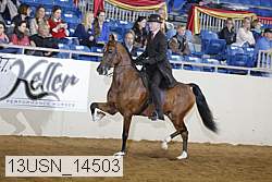13usn_14503 proof