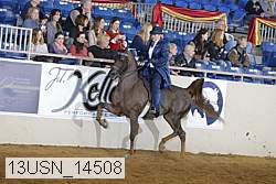 13usn_14508 proof