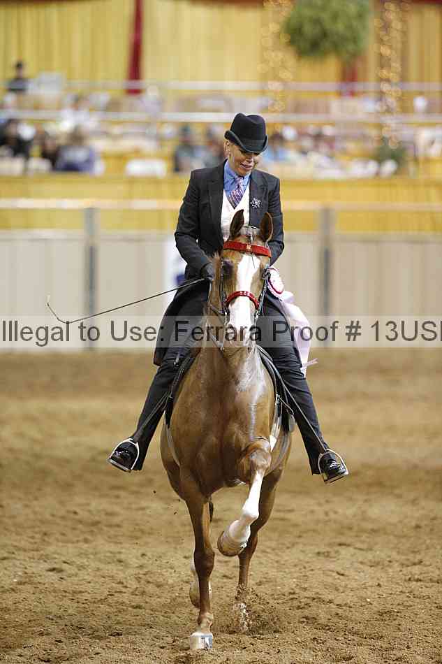 Proof 13usn_14531