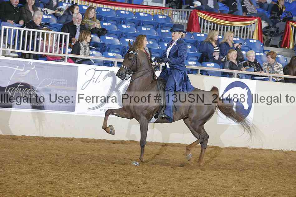 Proof 13usn_24488