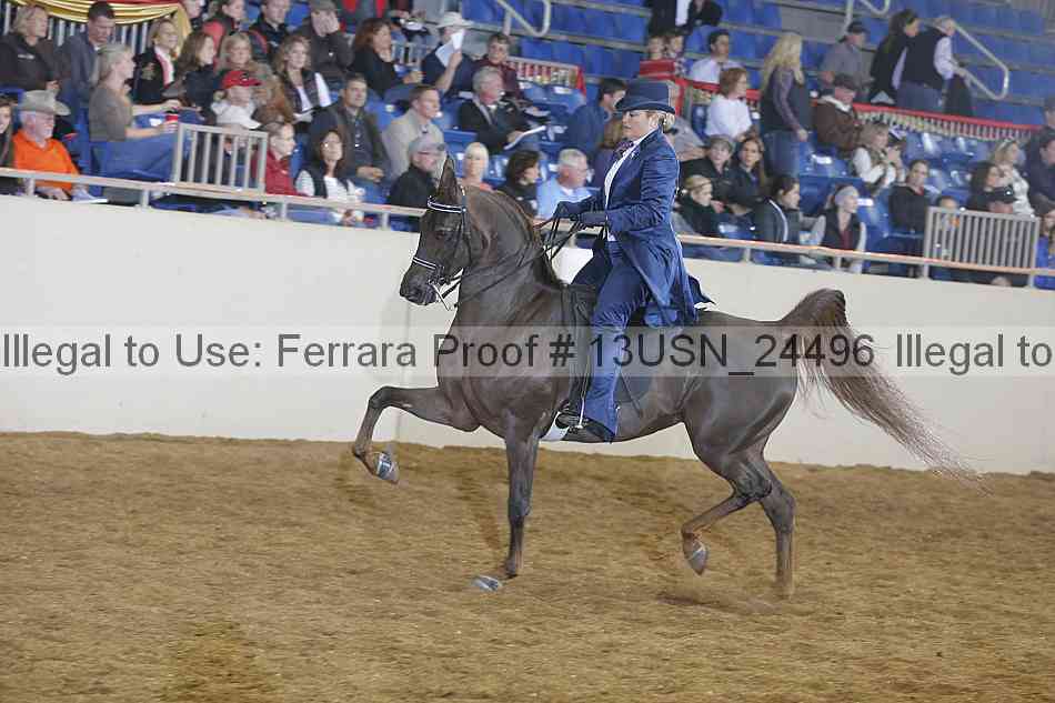 Proof 13usn_24496