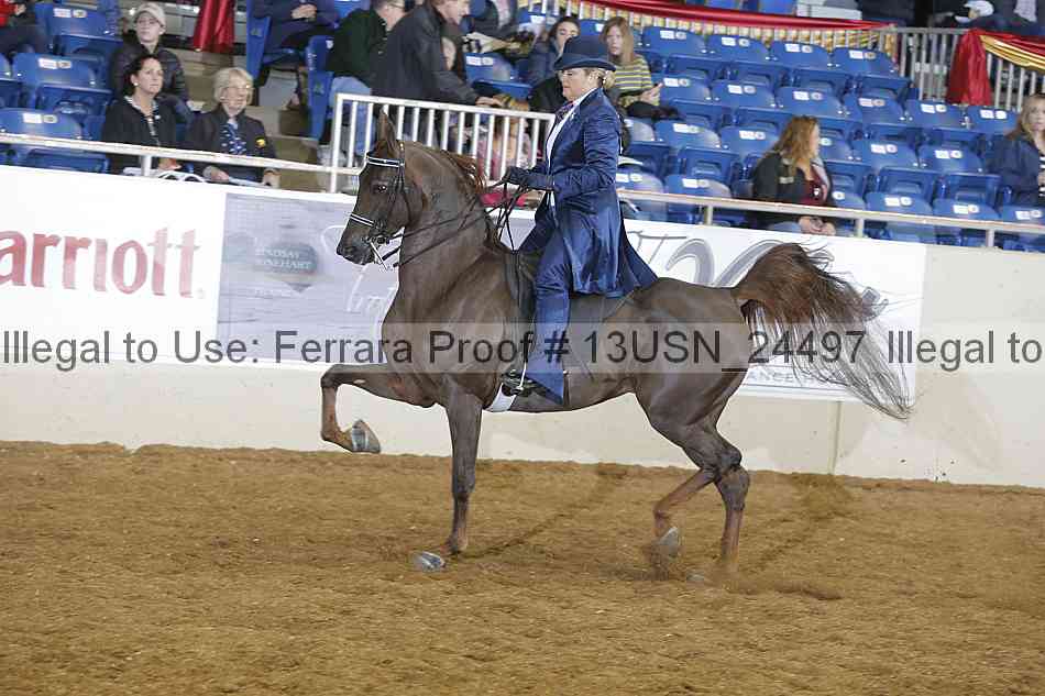 Proof 13usn_24497