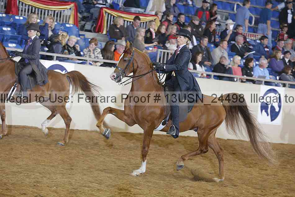 Proof 13usn_24498
