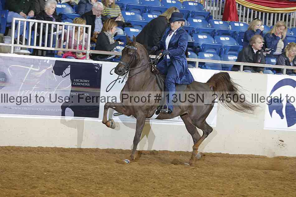 Proof 13usn_24509