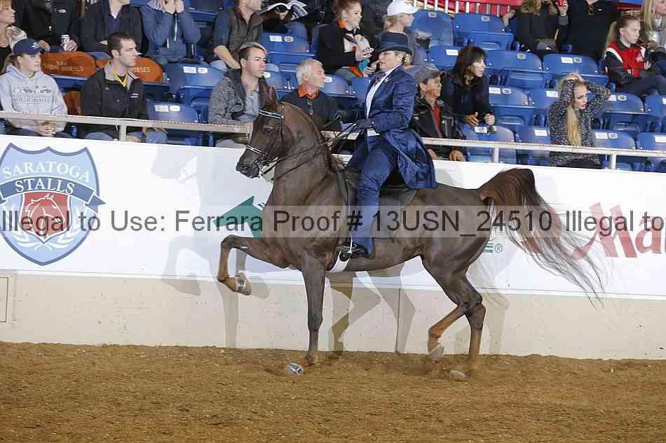 Proof 13usn_24510