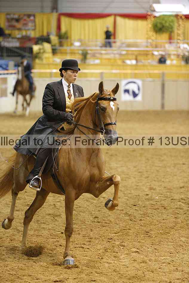 Proof 13usn_01683