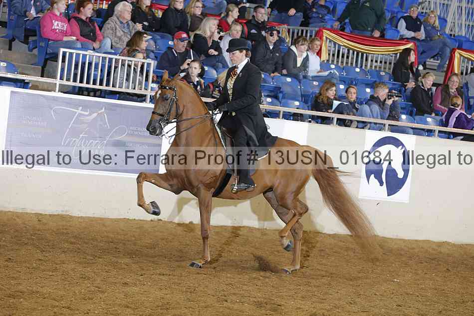 Proof 13usn_01684