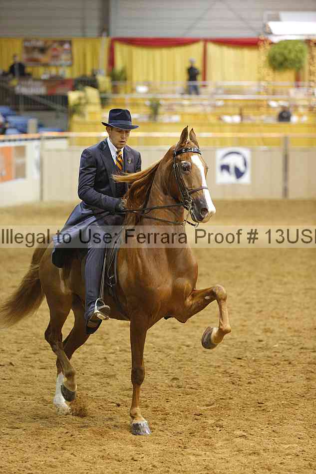 Proof 13usn_01687