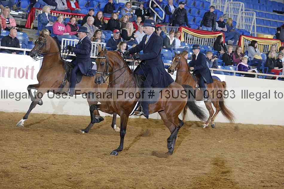 Proof 13usn_01693