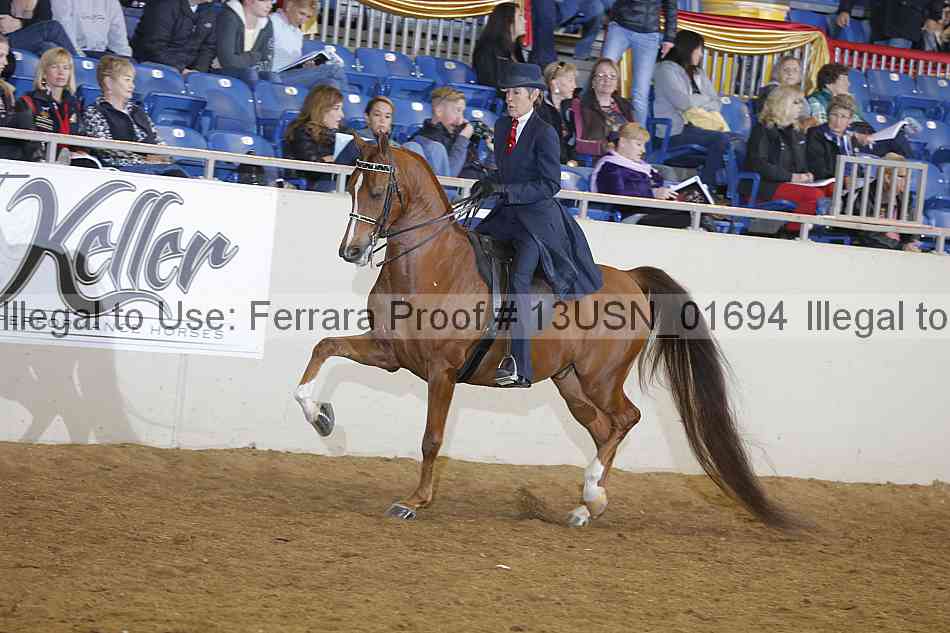 Proof 13usn_01694