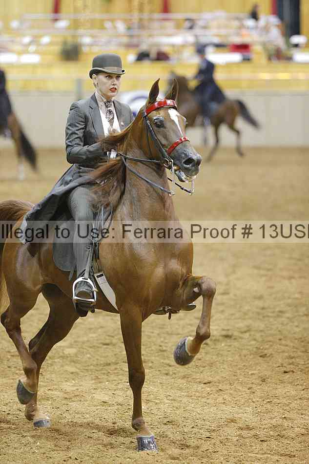 Proof 13usn_01698