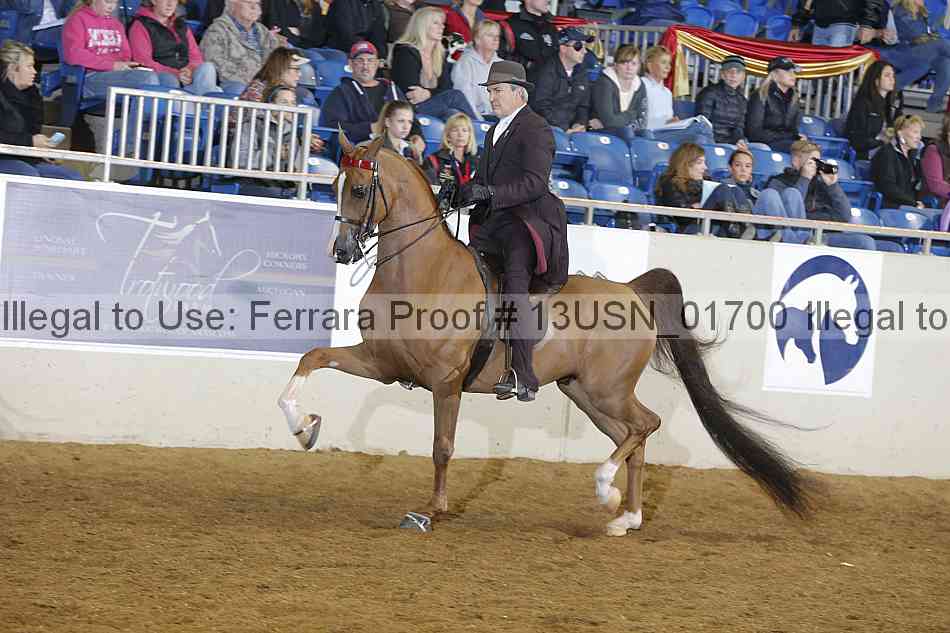 Proof 13usn_01700