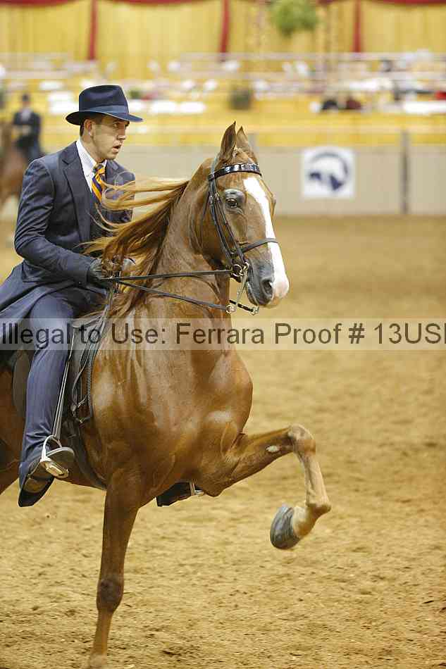Proof 13usn_01701