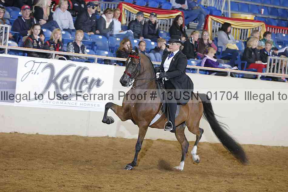 Proof 13usn_01704