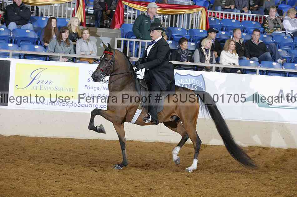 Proof 13usn_01705