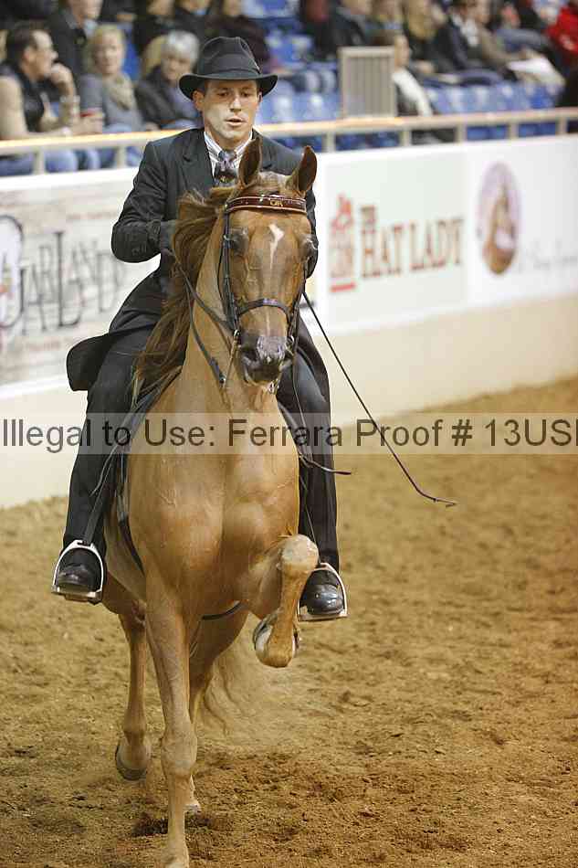 Proof 13usn_01709