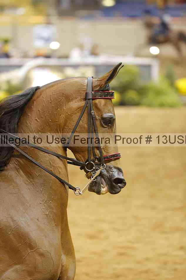 Proof 13usn_01711