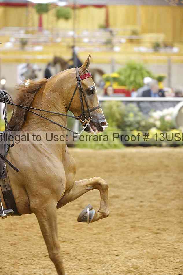 Proof 13usn_01713