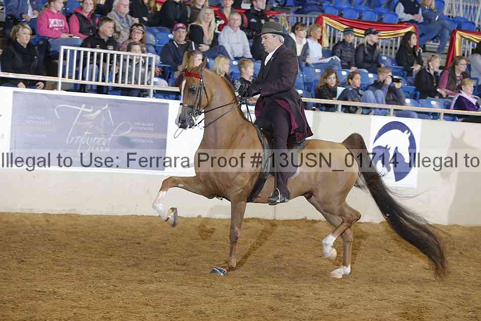 Proof 13usn_01714