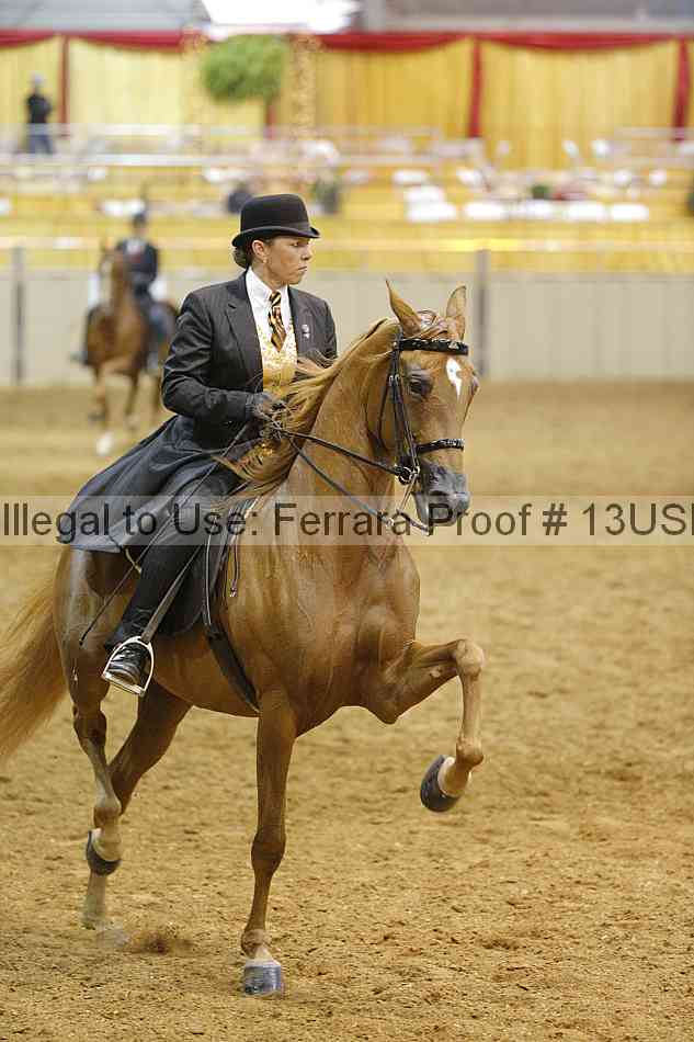Proof 13usn_01720