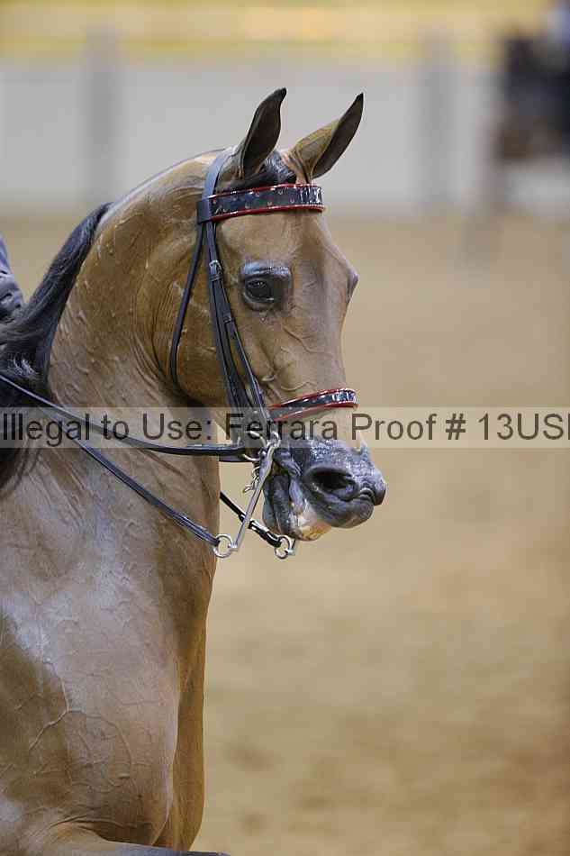 Proof 13usn_01723