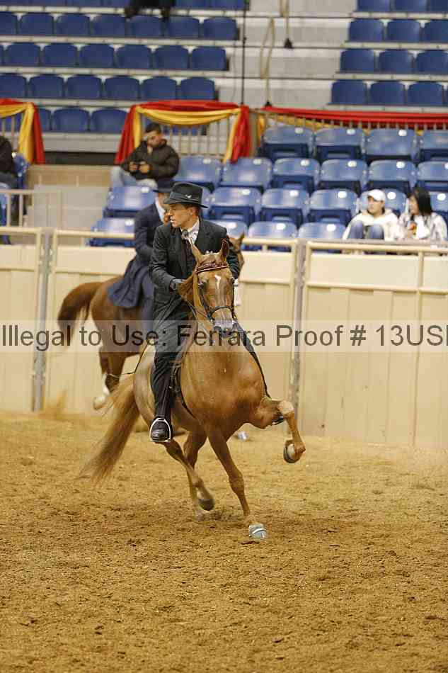 Proof 13usn_01733