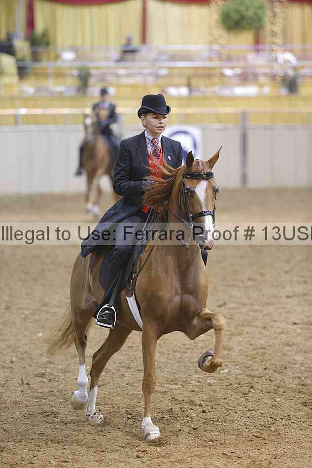 Proof 13usn_01784