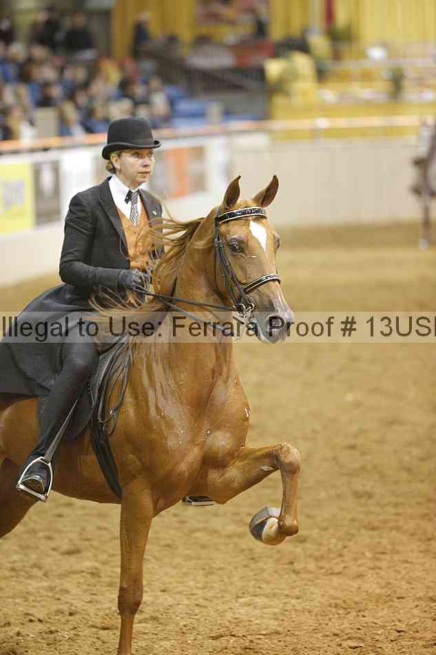 Proof 13usn_01788