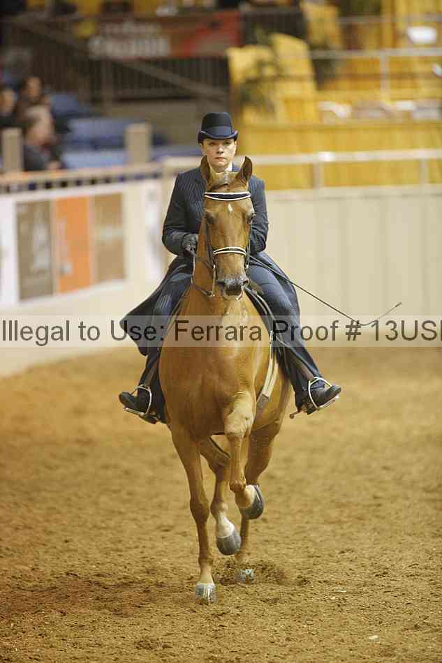 Proof 13usn_01789