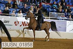 13usn_01858 proof