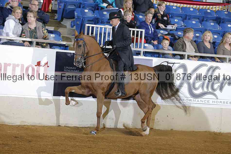Proof 13usn_01876