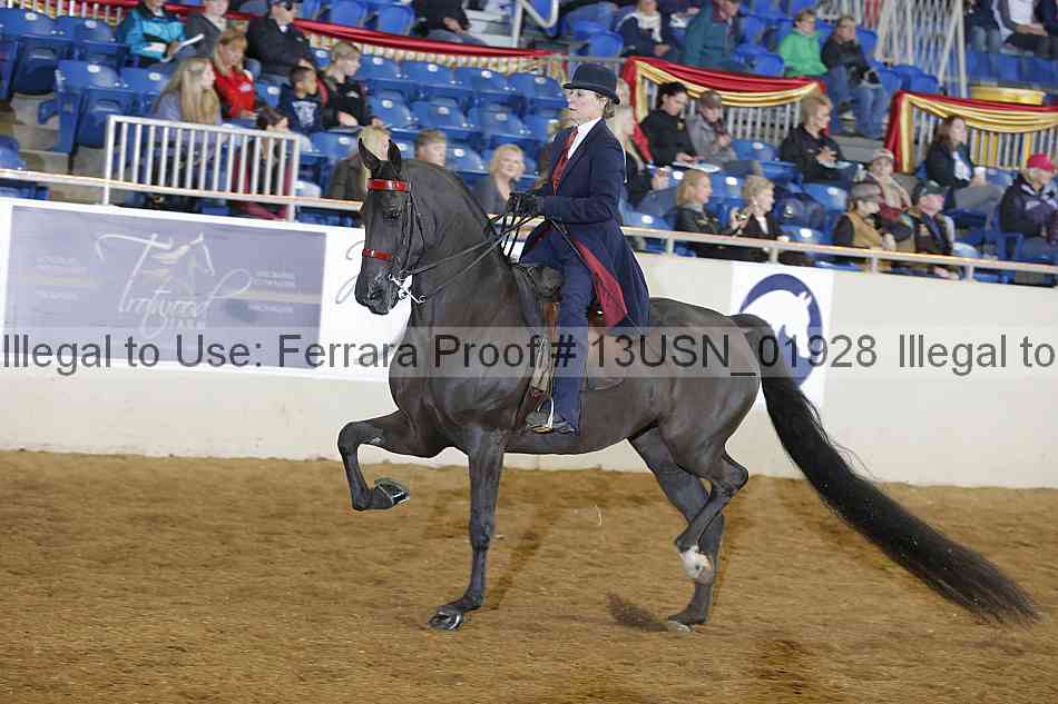 Proof 13usn_01928