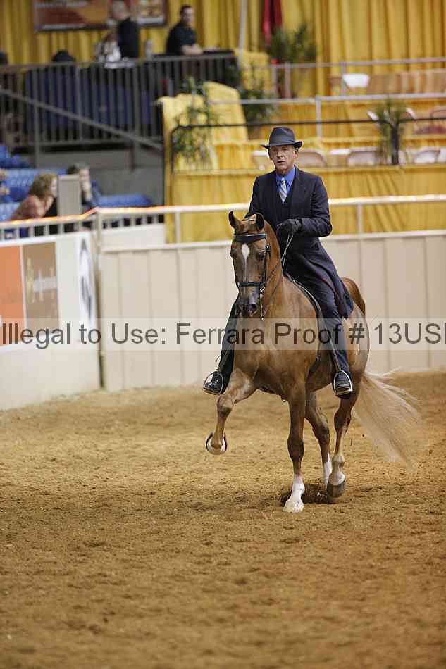Proof 13usn_01244