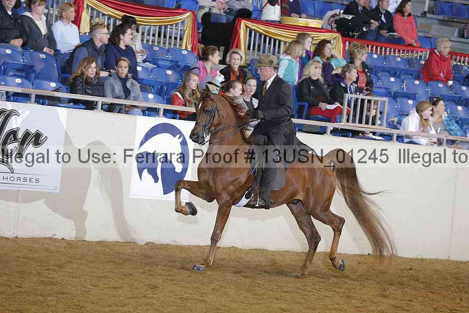 Proof 13usn_01245
