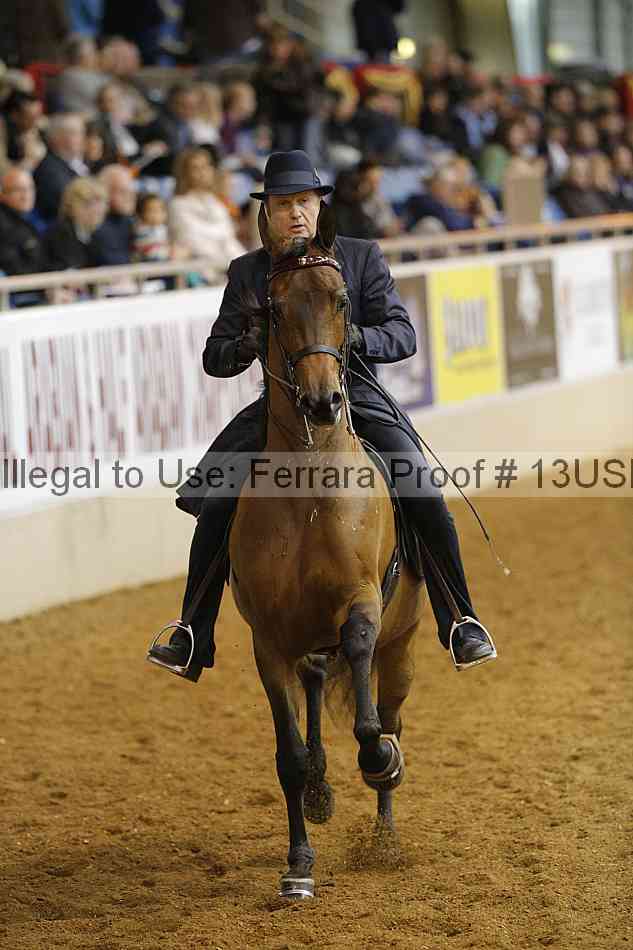 Proof 13usn_01249