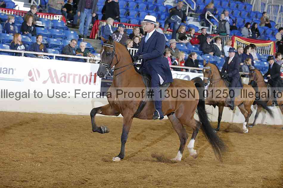 Proof 13usn_01250