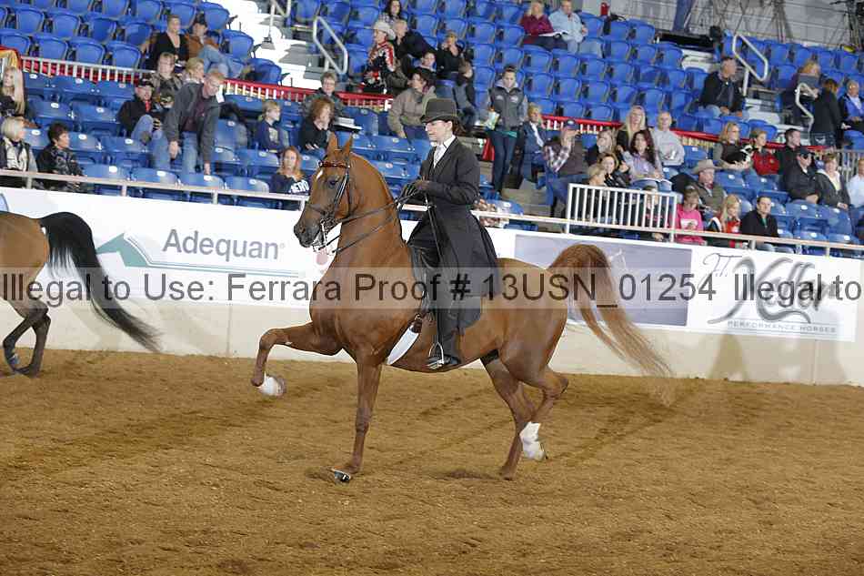 Proof 13usn_01254