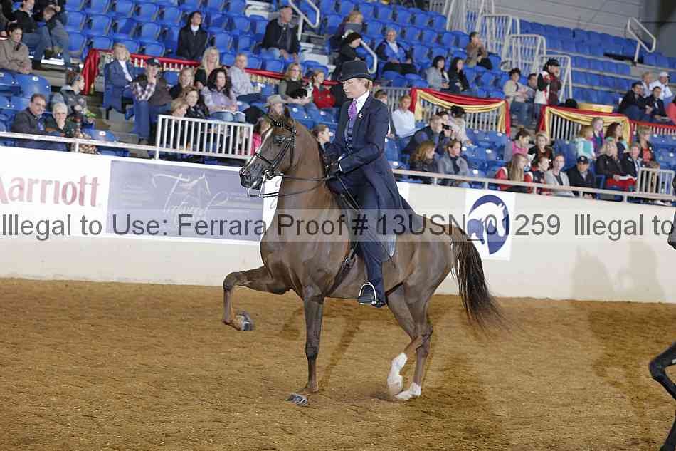 Proof 13usn_01259